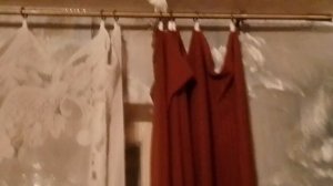 Наши с Настей питомцы София и Биба.