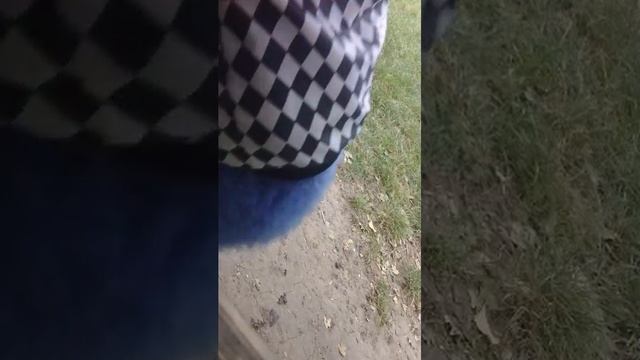 видос смотреть онлайн