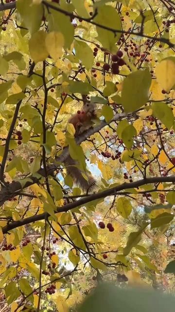 Атмосфера лучшей тусовки | Отдых в России смотреть онлайн