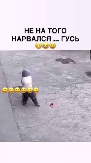 Отомстил за нас всех, кого гуси гоняли 😂