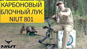 Карбоновый блочный лук Niut 801