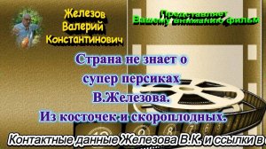Страна не знает о супер персиках В.Железова. Из косточек и скороплодных.