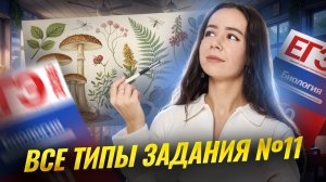 Все типы задания 11 ЕГЭ по биологии 2026 | Умскул