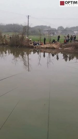 Китайская рыбалка как она есть! Shorts шортс #рыбалка #китай #отдых #интересно #хобби #досуг #рыбак