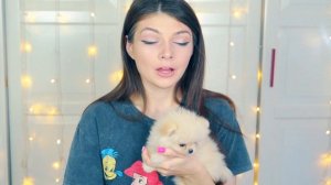 ЧТО С НАШЕЙ СОБАЧКОЙ?! НУЖНО ДЕЛАТЬ ОПЕРАЦИЮ!