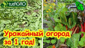 ПОДНЯЛ ЦЕЛИНУ БЕЗ УСИЛИЙ, ГЕРБИЦИДОВ и ПЕРЕКОПКИ: твердый дерн стал как пирожное! Ни одного сорняка.