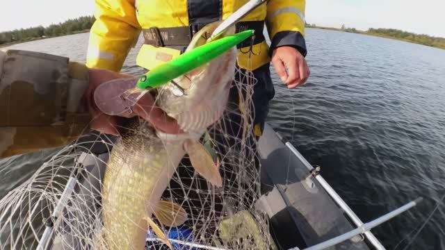 Осень 2025! (3)