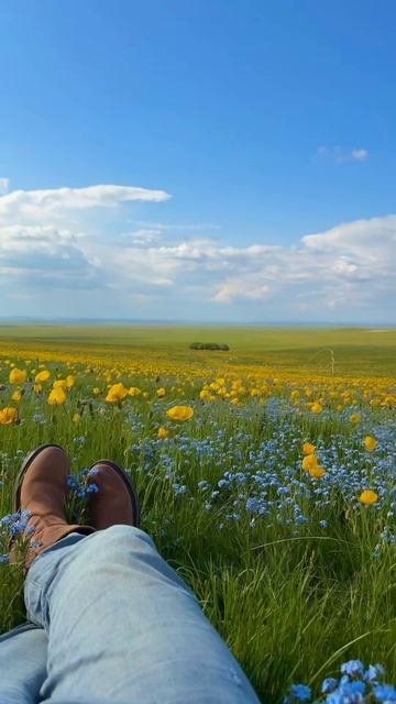 Воспоминания юности.Echoes Of First Love.Buryat Melancholic & Majestic