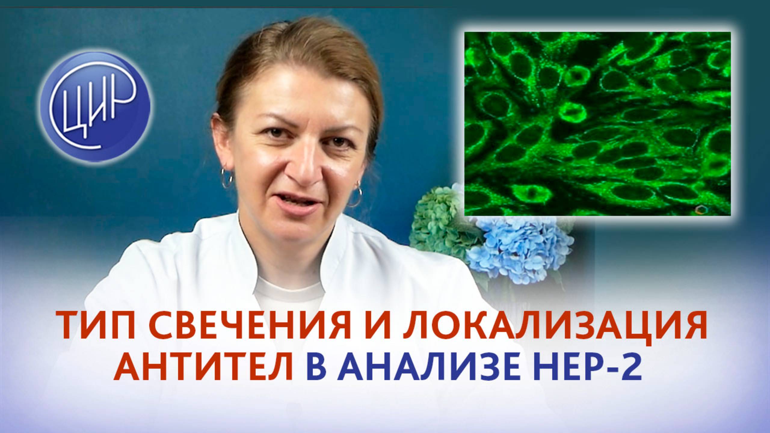 Тип свечения и локализация антител в клетке в анализе HEP-2. Дементьева С.Н. смотреть онлайн