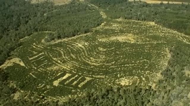 История уничтожения Мира смотреть онлайн