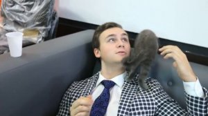 КАК РОСЛА И МЕНЯЛАСЬ КОШЕЧКА БАТТЕРС | 1,5 ГОДА ЖИЗНИ ЗА 10 МИНУТ