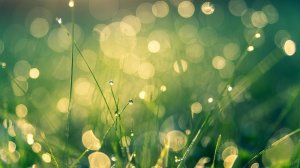 Музыка для глубокого сна☘️ и расслабления тела🌿