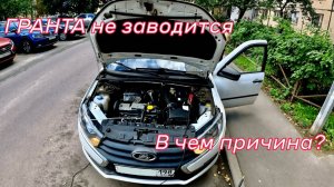 Лада Гранта. А также: Хонда с косяком и мертвый Ниссан.