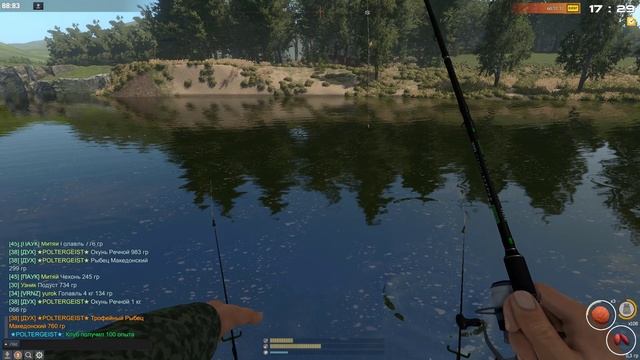 Fisher Online. БОЛГАРИЯ. РЫБЕЦ МАКЕДОНСКИЙ