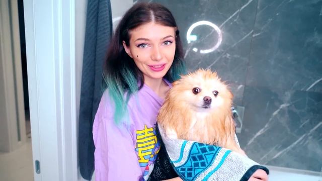 КУПАЮ В ВАННОЙ КОШКУ И СОБАКУ | Котик и Песик Купаются в ПЕНЕ смотреть онлайн