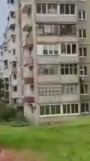 мастер по пряткам 🕵️