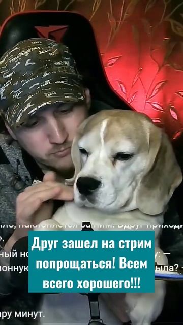 Друг зашел попрощаться!