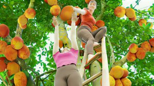 Собираю много ананасов и джекфрутов для продажи на местном рынке. Жизнь во Вьетнаме