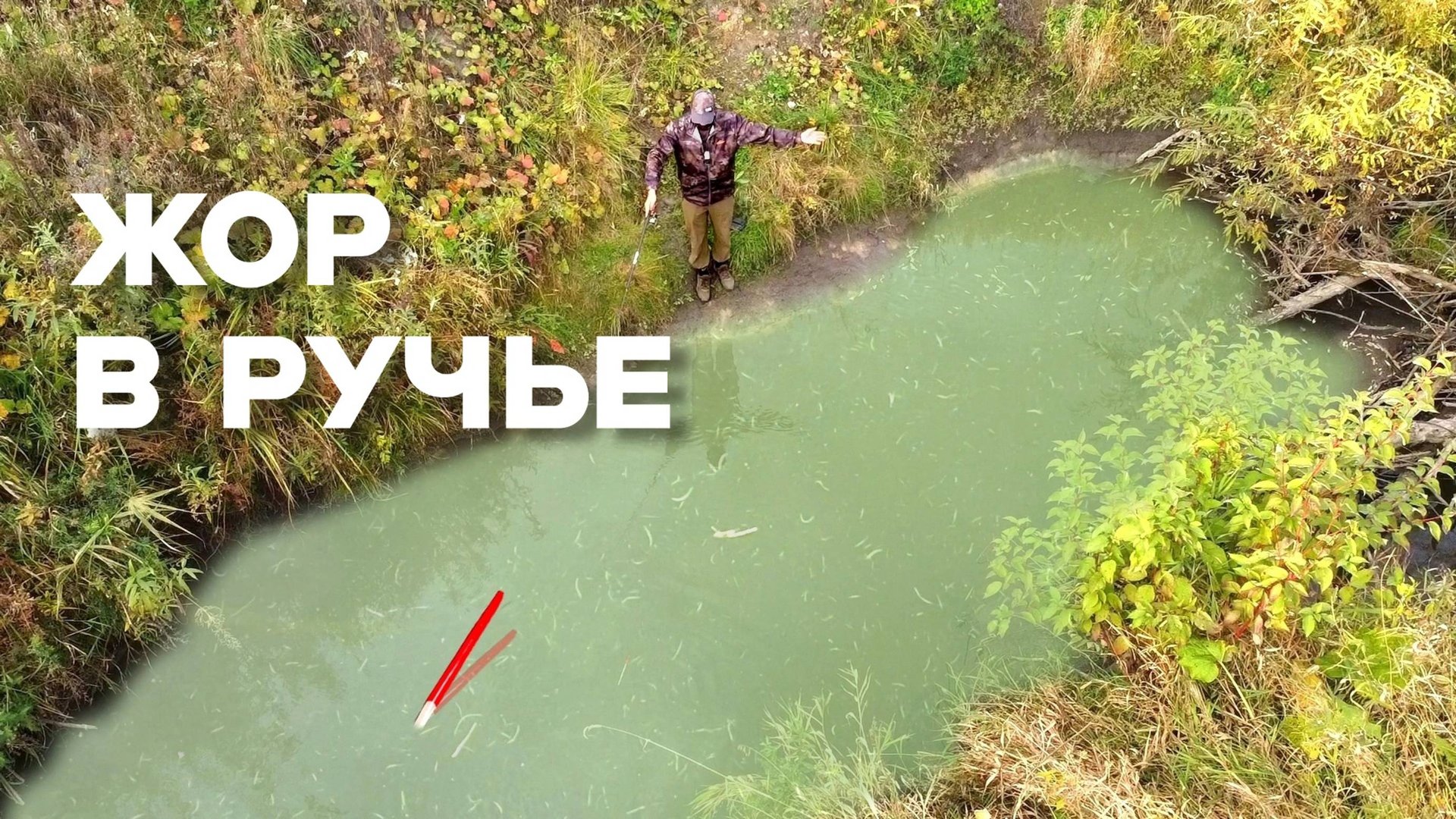 РУЧЕЙ НЕ ДЛЯ СЛАБОНЕРВНЫХ ВЫДАЁТ...КРУПНЯК в ДЕБРЯХ на ПОПЛАВОК! Рыбалка на карася 2025 смотреть онлайн