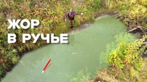 РУЧЕЙ НЕ ДЛЯ СЛАБОНЕРВНЫХ ВЫДАЁТ...КРУПНЯК в ДЕБРЯХ на ПОПЛАВОК!  Рыбалка на карася 2025