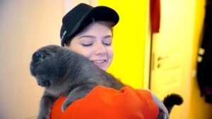 ВЗЯЛИ НОВОГО КОТЕНКА? | БАТТЕРС ВЕРНУЛАСЬ?