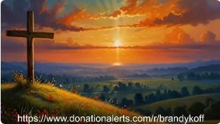 LIVE Видео  авторские видео клипы автор Николай Брандуков