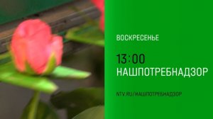 Анонс, НашПотребНадзор, сегодня в 13:00 на НТВ, 2025