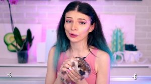 ПЛЮСЫ И МИНУСЫ КАРЛИКОВОГО АФРИКАНСКОГО ЕЖА | Не Покупай, Пока Не Посмотришь