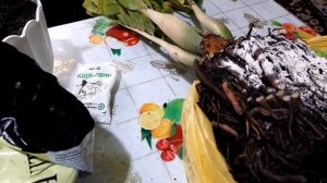 Показываю свою обновлённую кухню / погода изменилась,дождь ☔