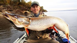 ЩУКА-ГИГАНТ: батя не поверил! ПРОТОКА ЗАБИТА КРУПНЫМ ОКУНЕМ. НЕВЕРОЯТНАЯ РЫБАЛКА. Часть 2