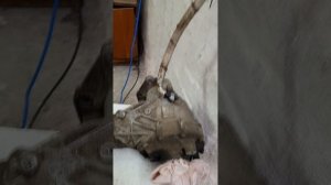 Замена турбины на форд Куга 1.6 экобуст