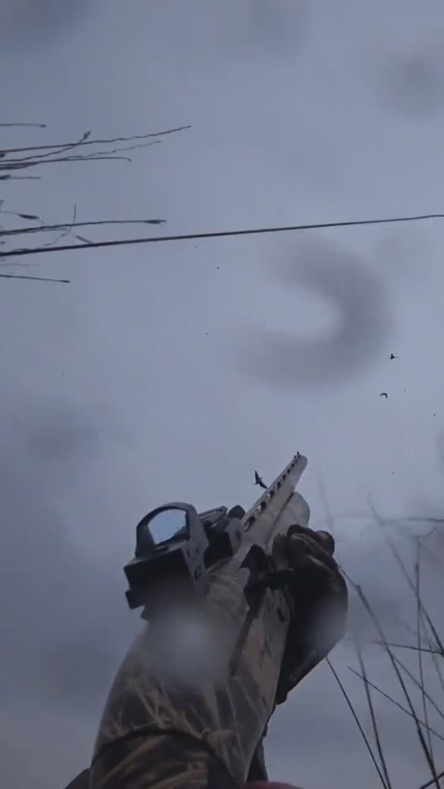 Точные выстрелы на охоте