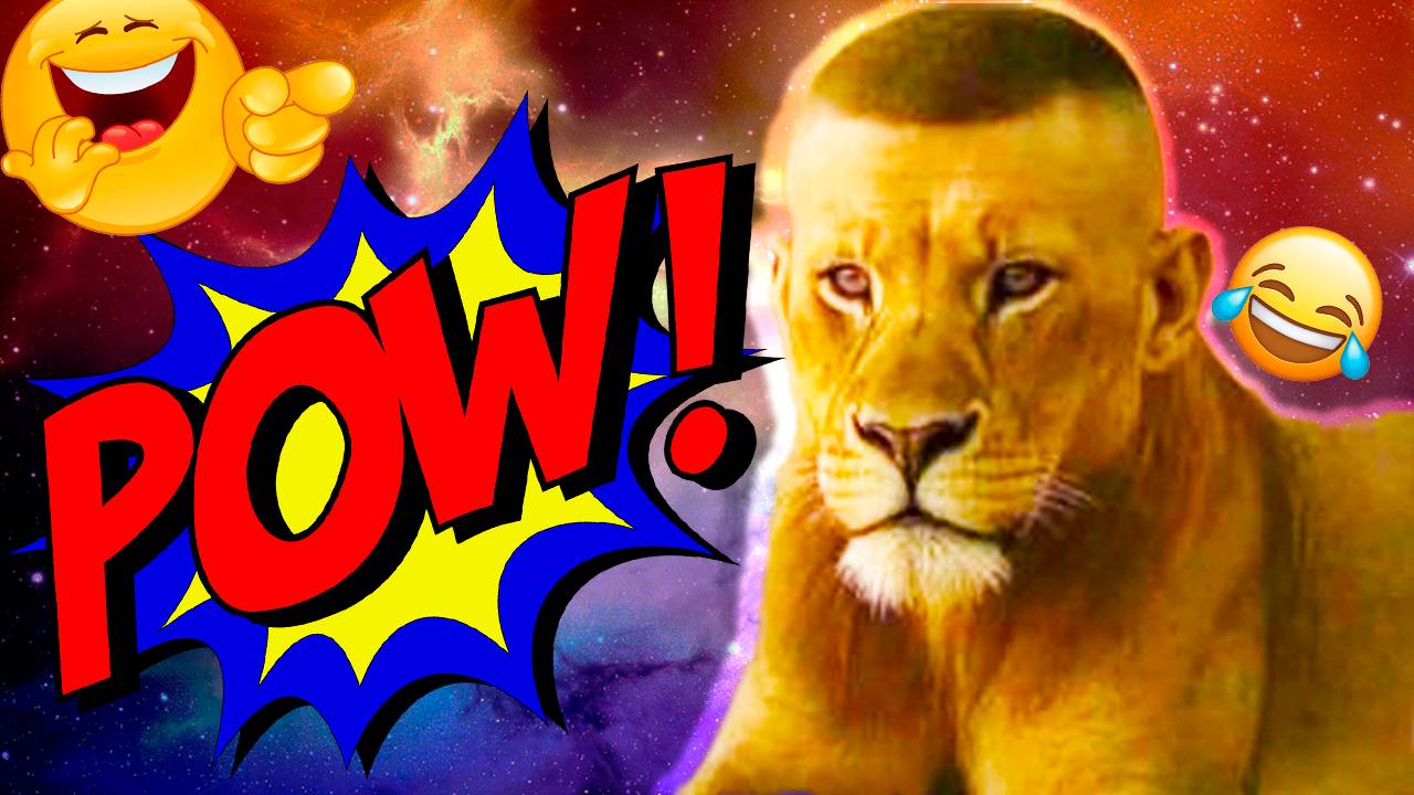 ЛУЧШИЕ ПРИКОЛЫ ОКТЯБРЬ 2025 | ПОПРОБУЙ НЕ ЗАСМЕЯТЬСЯ | ТЕСТ НА ПСИХИКУ | РЖАКА ДО СЛЕЗ смотреть онлайн