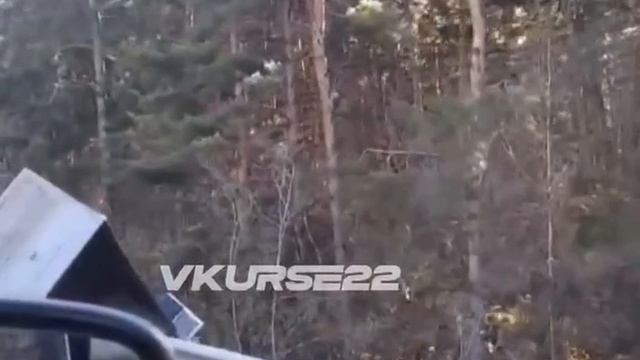 ДТП под Павловском смотреть онлайн