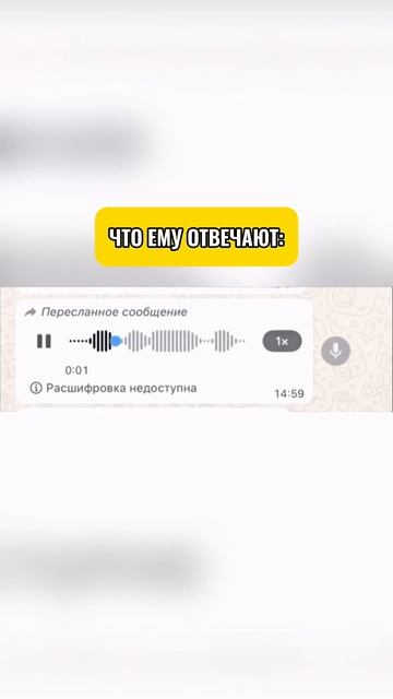 Такова реальная жизнь