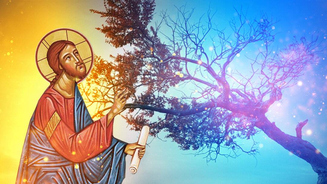 Притча. Бесплотная смоковница.