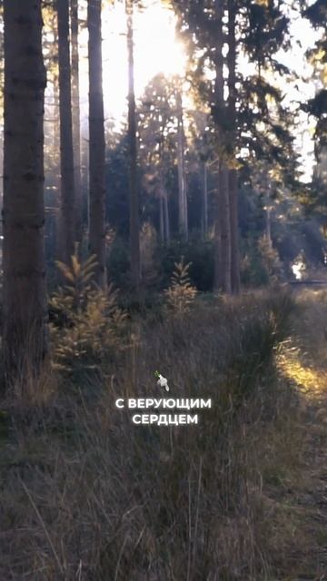 Молитва: защита смотреть онлайн