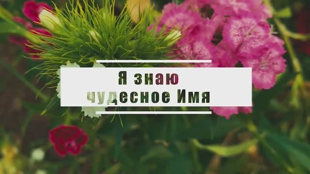 Я знаю чудесное Имя | Гимны надежды №64 - КАРАОКЕ смотреть онлайн