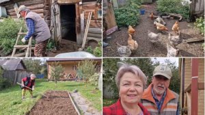 РАЗГРЕБЛА УДОБРЕНИЕ НА ГРЯДКАХ,УБРАЛА ВАЗОНЫ С ТЕРРАСЫ. ГОТОВИМСЯ К ЗИМЕ.