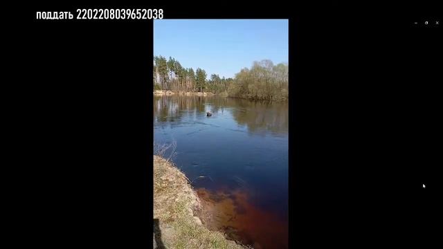 Прямая трансляция пользователя всякая хрень