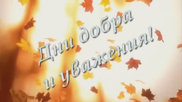 С днем добра и уважения! смотреть онлайн