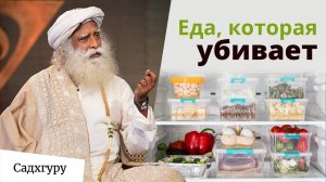 Как питание влияет на наше восприятие и энергию