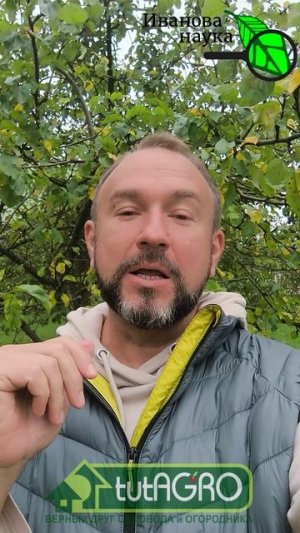 КАКОЙ КУПОРОС ВЫБРАТЬ ДЛЯ САДА: медный или железный?
