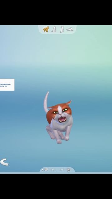 УСЫ-ЛАПЫ-ХВОСТ! Вот мои документы. #sims4 #симс4 #tiktok #sims4 #thesims4 #симс4 #sims4cc смотреть онлайн