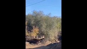 БПЛА атаковали нефтеперерабатывающий завод в Орске