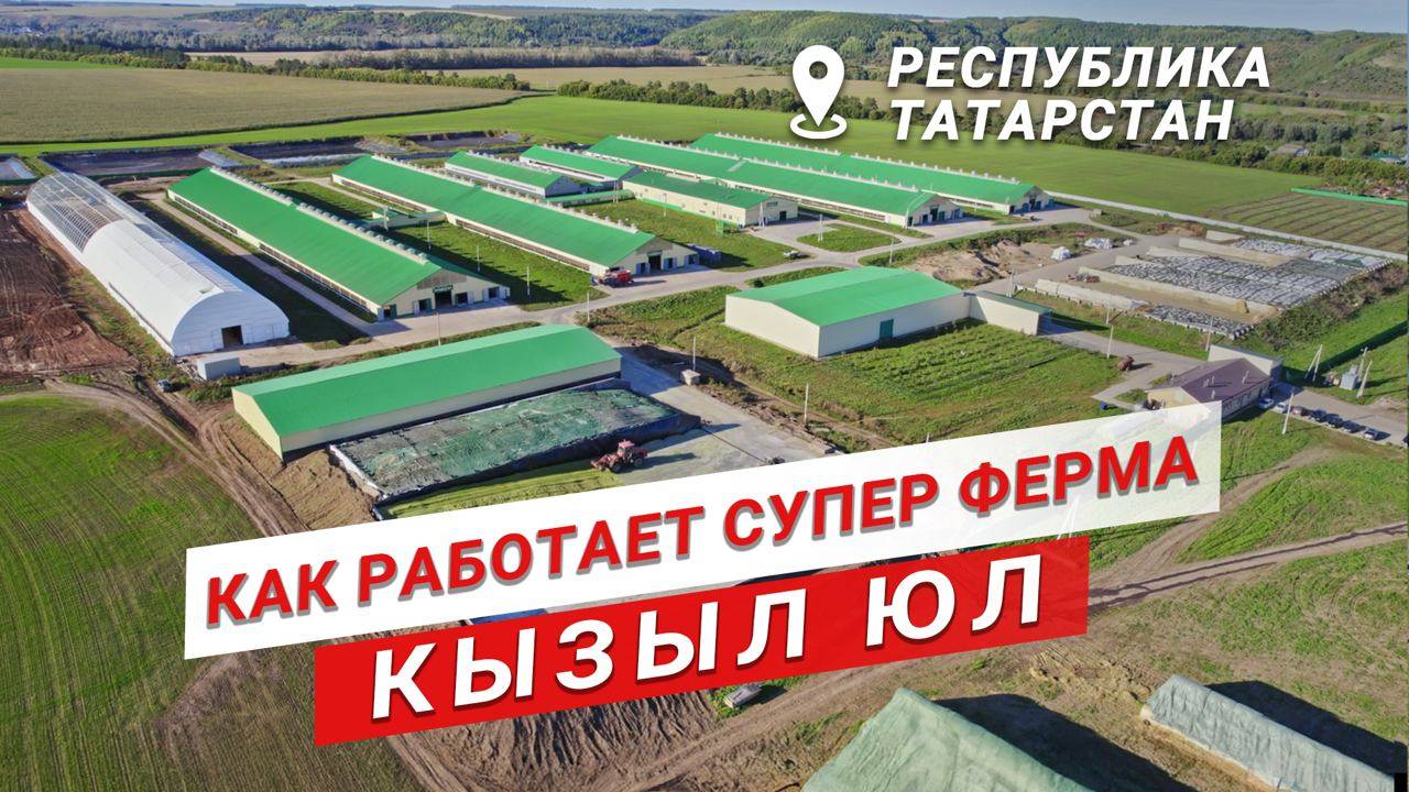 Как получать больше молока? Цель: 50 тонн в сутки | Фердинанд Хайруллин | Кызыл Юл | Молочная ферма смотреть онлайн