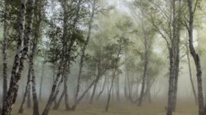 Чайковский - Времена года - Август