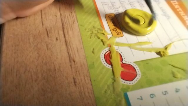 КАК СДЕЛАТЬ ПЕЧЕНЬКУ ИЗ КАЛЬМАРА? Всё просто от Shahmir3! смотреть онлайн