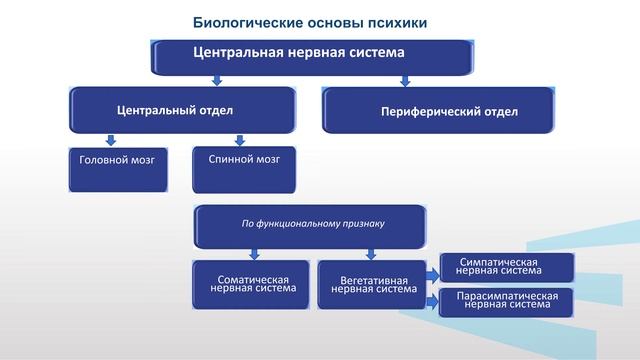 Гладкова Модуль 1 Лекция 1
