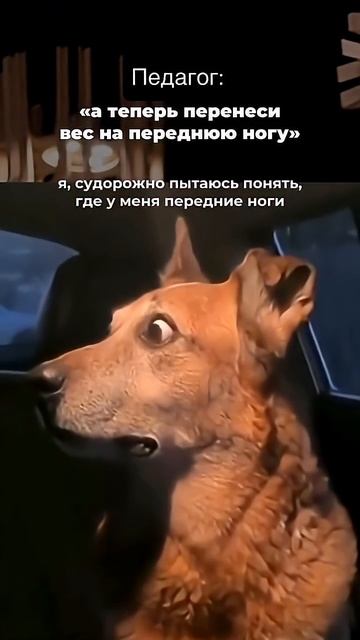 Страшная ситуация на тренировке смотреть онлайн